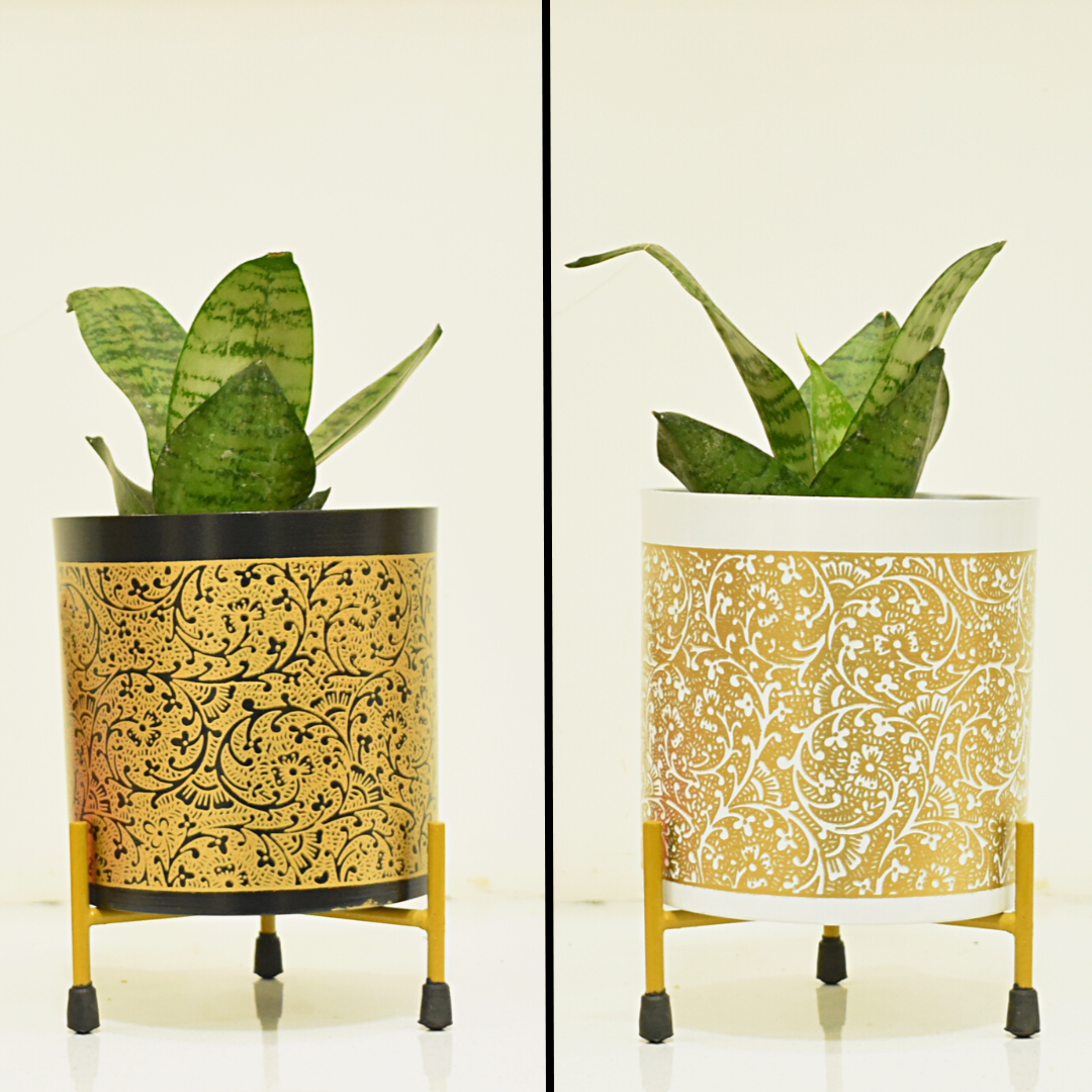 black and gold plant pot stand Shop Super Saver Combo: Black & White Golden Vines Indoor Metal Planters with Stand