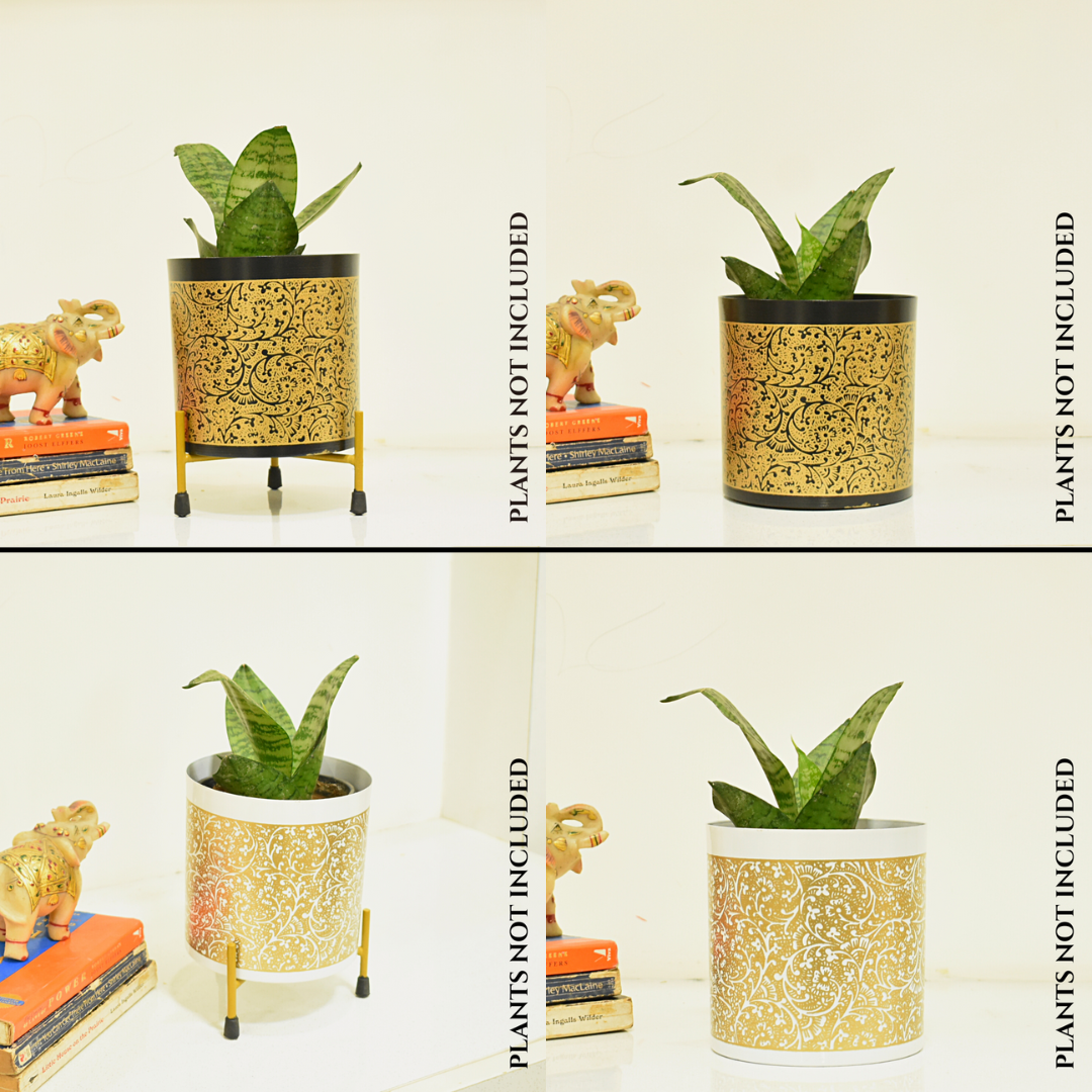 Golden Black and white Indoor planter combo | 5 Inches | Home BAEsic | Home and garden
