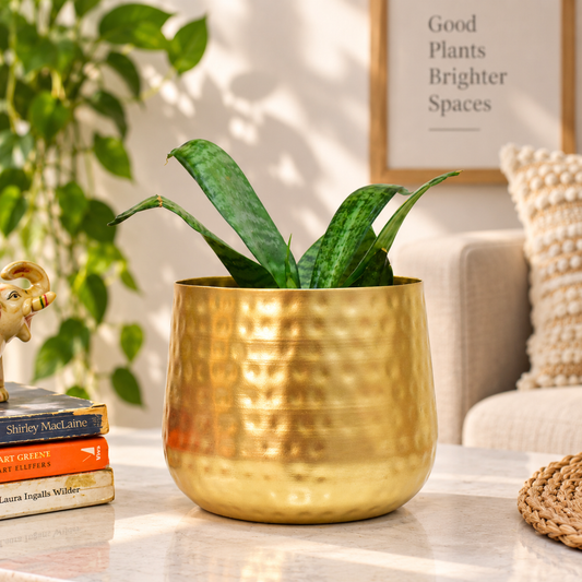Golden Finish Hammered Tumbler Metal Planter – 6 Inch Indoor Pot | Home BAEsic
