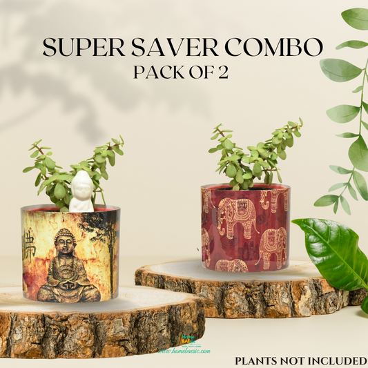 Indoor Pot and Planter Combo for Home and garden | Home BAEsic