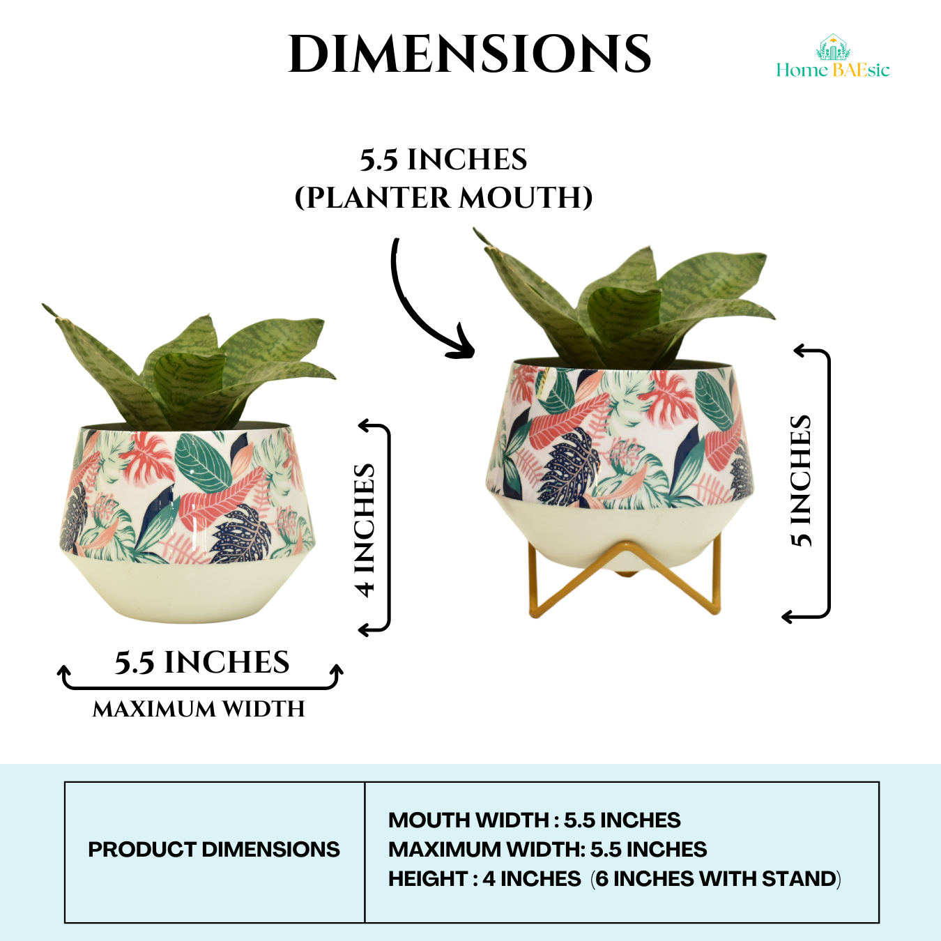 Monstera Magic Indoor Metal Planter With Metal Stand | Home & Garden | 5 Inches