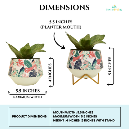 Monstera Magic Indoor Metal Planter With Metal Stand | Home & Garden | 5 Inches