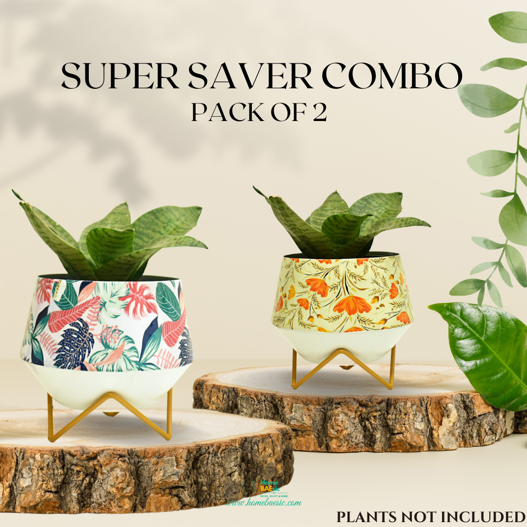 magic pot planter Buy Now! Super Saver Combo Monstera Magic & Happy Poppy Indoor Planter with Stand