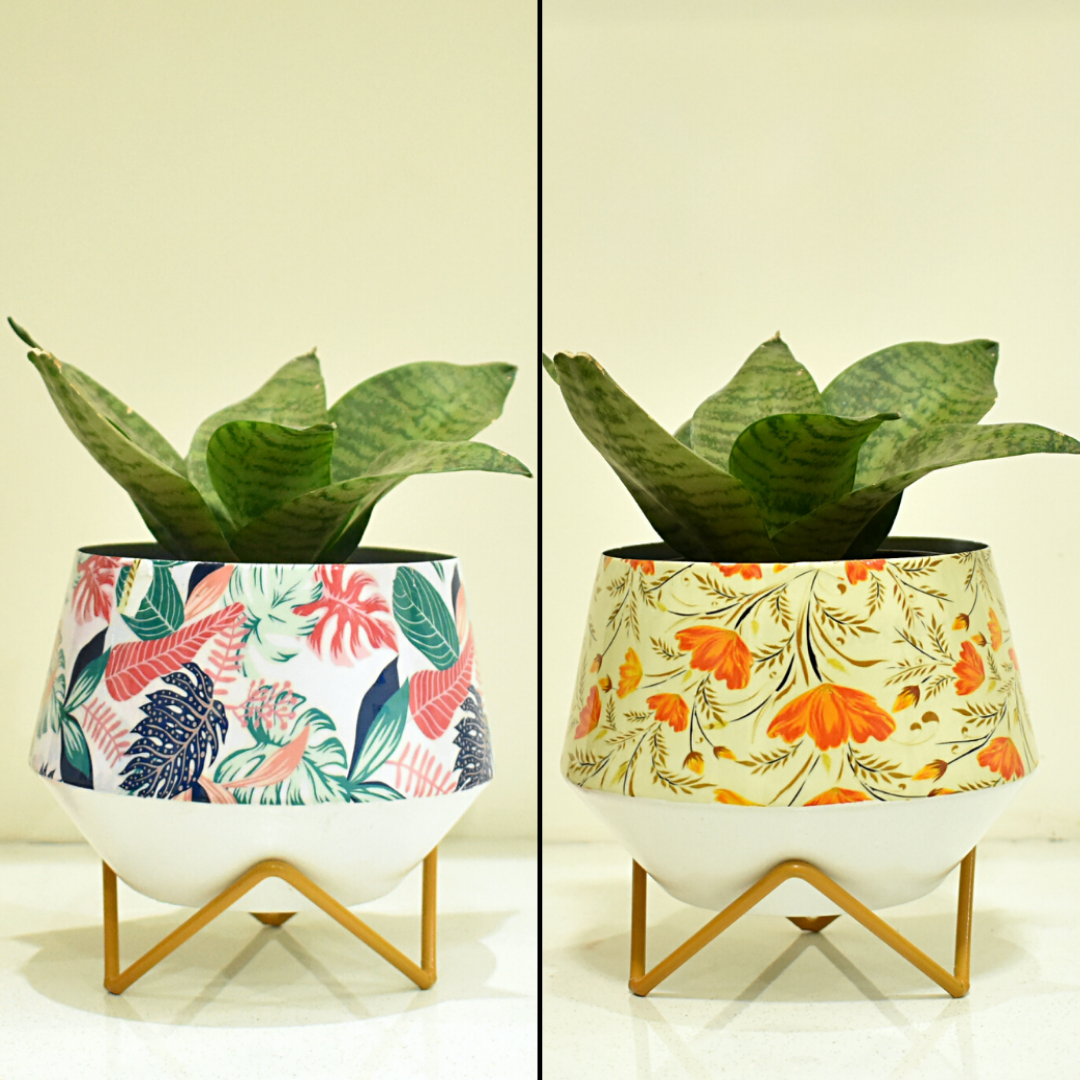 Pot and Planter Combo For Indoor Home and Garden | Home BAEsic
