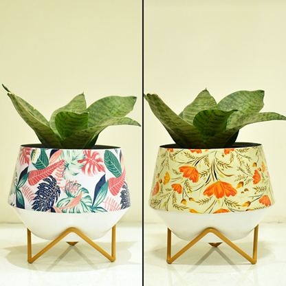 Pot and Planter Combo For Indoor Home and Garden | Home BAEsic