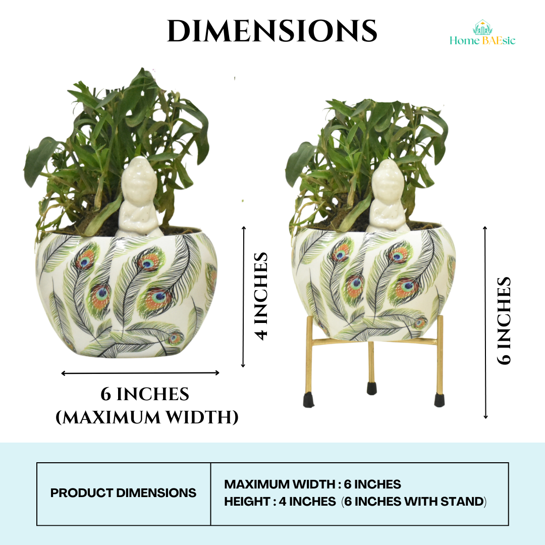 Peacock Feather Metal Pot & Planter | Home BAEsic | Home and Garden