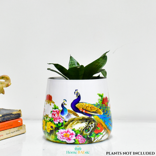Peacock Design Metal Planter For Indoor Home and Garden 6 inches by Home BAEsic