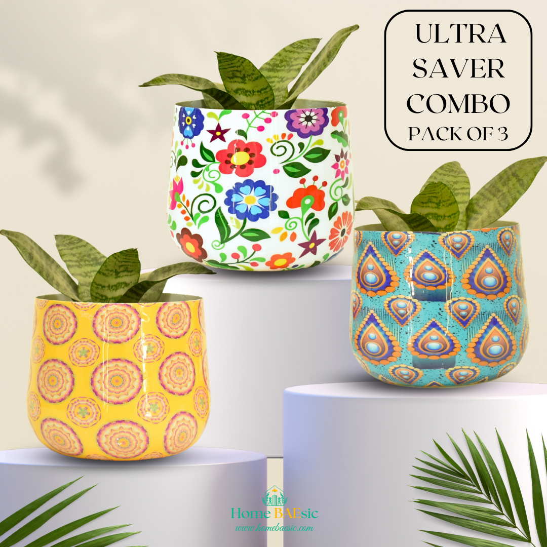 Ultra Saver Combo | Indoor Tumbler Planter for Home & Graden | Home BAEsic