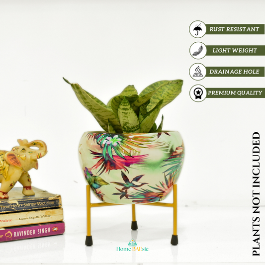 Decorative planter with colorful design. Viola Planter with stand | 6 Inches | Home BAEsic