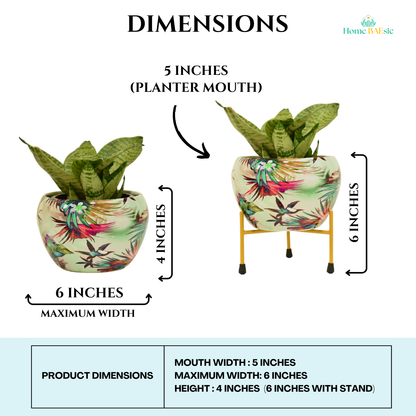 Decorative planter with colorful design. Viola Planter with stand | 6 Inches | Home BAEsic