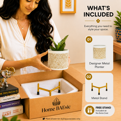 A woman holds a small potted plant next to an open cardboard box containing a Home BAEsic metal stand and a designer metal planter. The right side features a 'WHAT'S INCLUDED' infographic detailing the package contents.