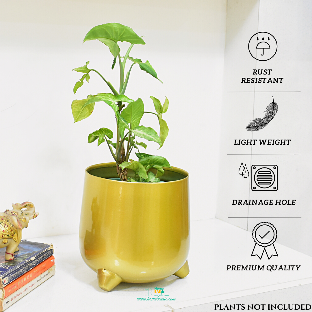 7 inch indoor planter Aurum Glossy Golden Indoor Metal Planter