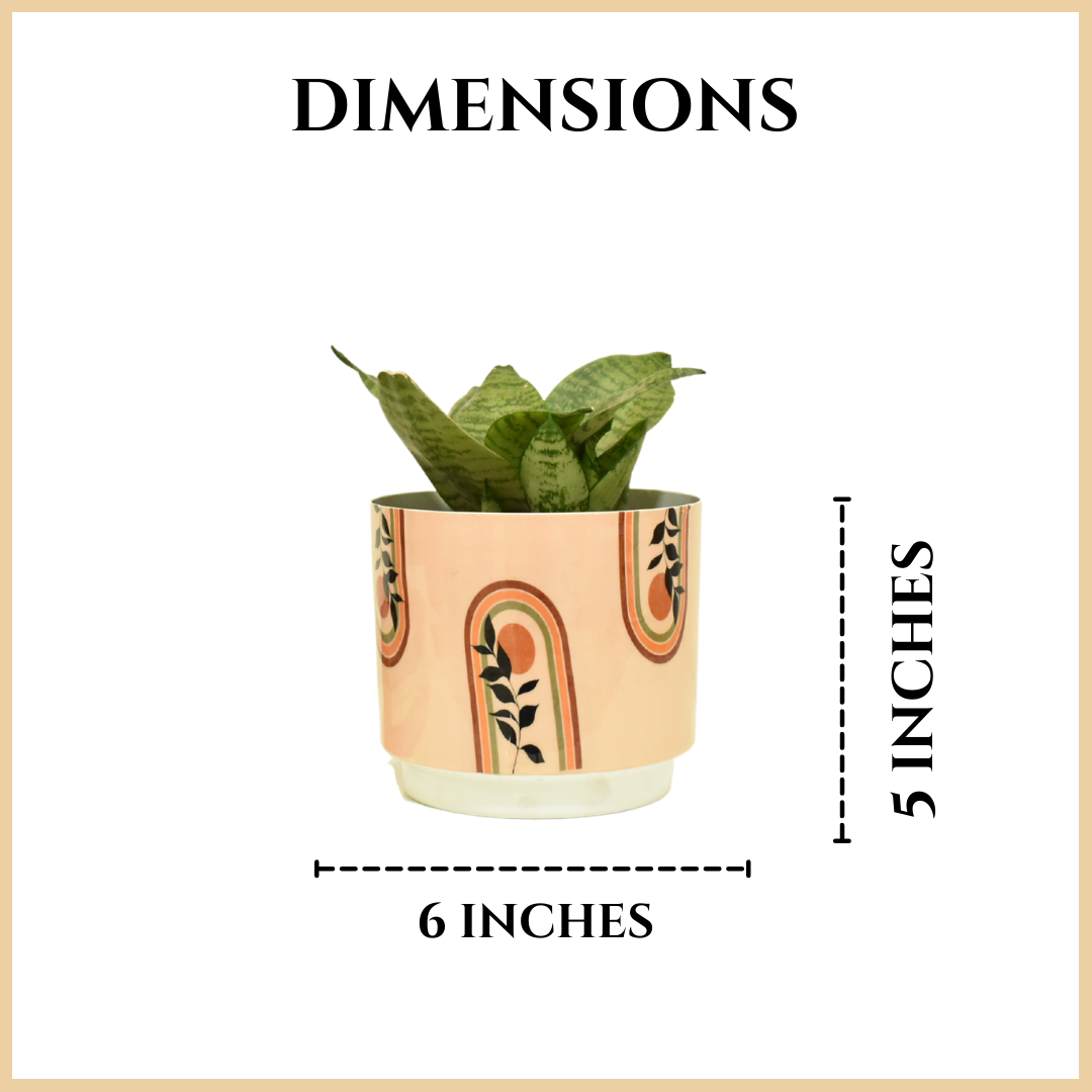 Beige Living Indoor Metal Planter With Metal Stand | Home & Garden | 6 Inches