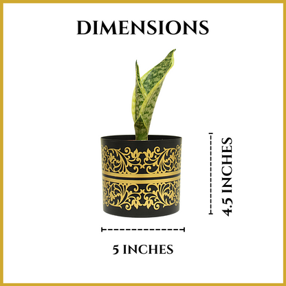 Black & Golden Floral Print Metal Planter With Metal Stand | Home & Garden | 5 Inches