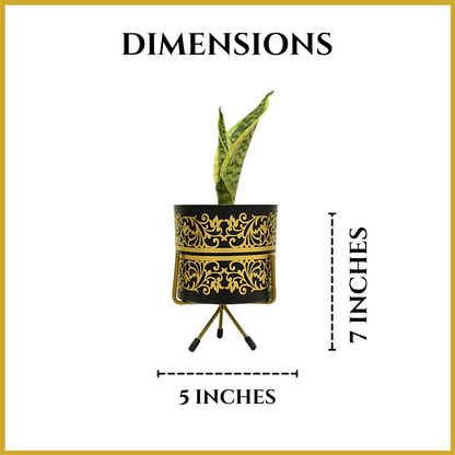 Black & Golden Floral Print Metal Planter With Metal Stand | Home & Garden | 5 Inches