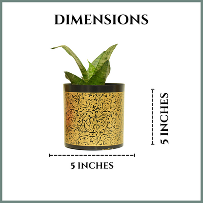 Black & Golden Vines Indoor Metal Planter With Metal Stand | Home & Garden | Home BAEsic 5 Inches