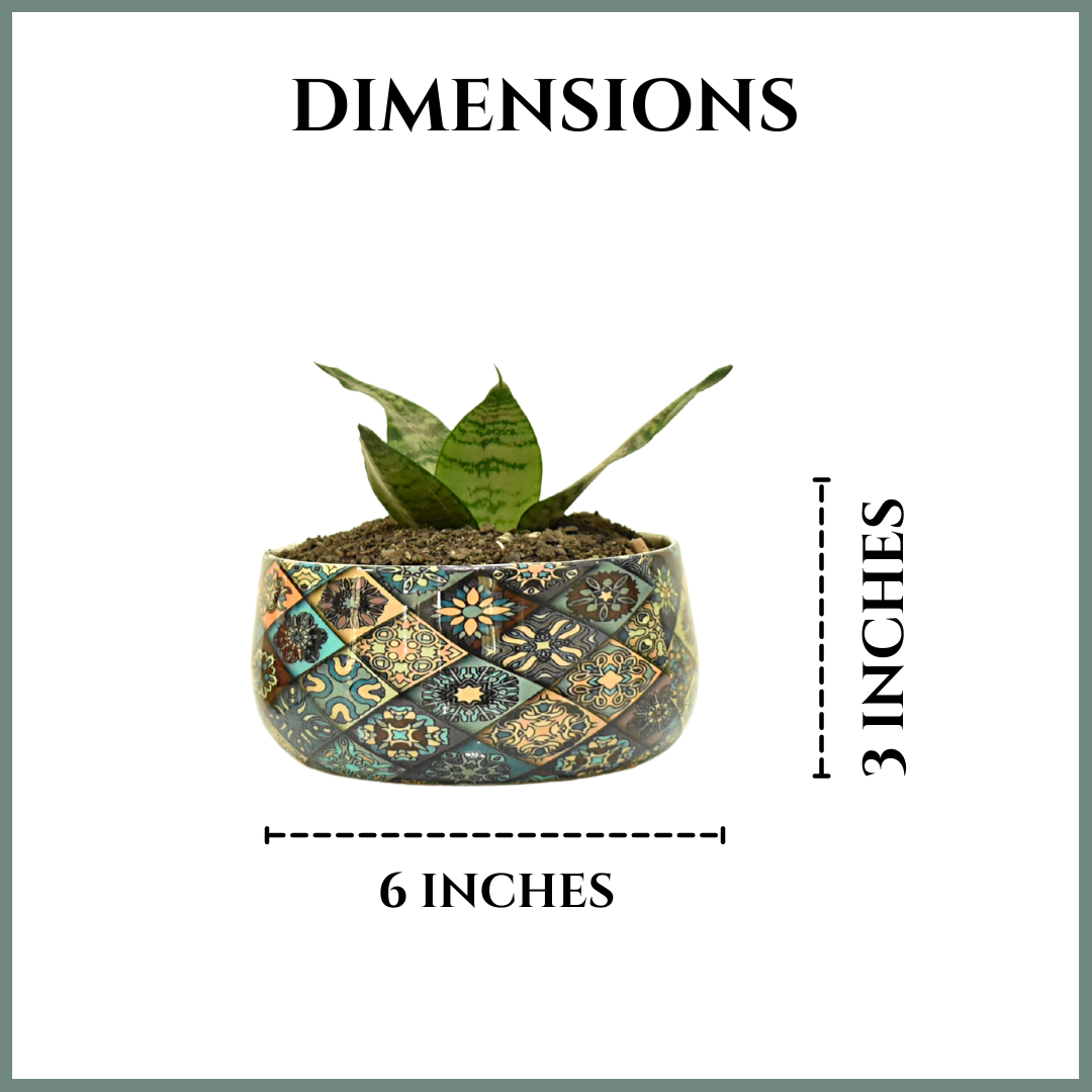 Floral Motif Indoor Metal Planter With Tripod Tray For Home & Garden | Home BAEsic 