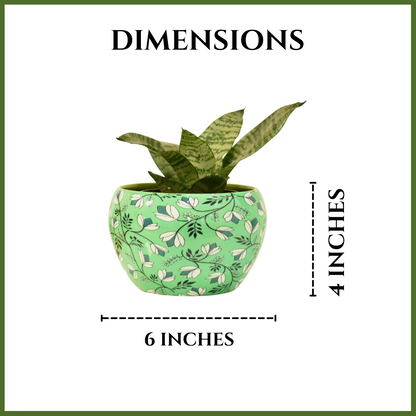 Green Blossom Indoor Metal Planter With Metal Stand | Home & Garden | 6 Inches | Home BAEsic