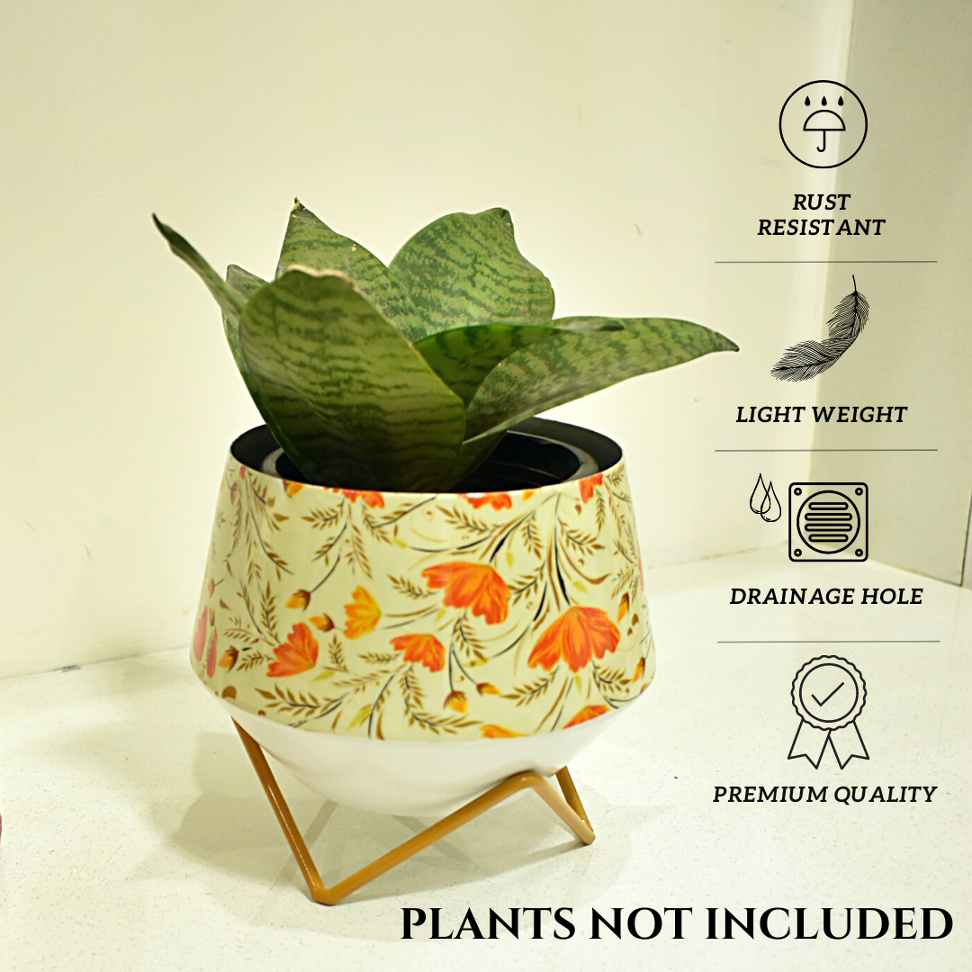 Home BAEsic Happy Poppy 5 Inches Indoor Designer & Decorative Planter with stand for Home & Garden 