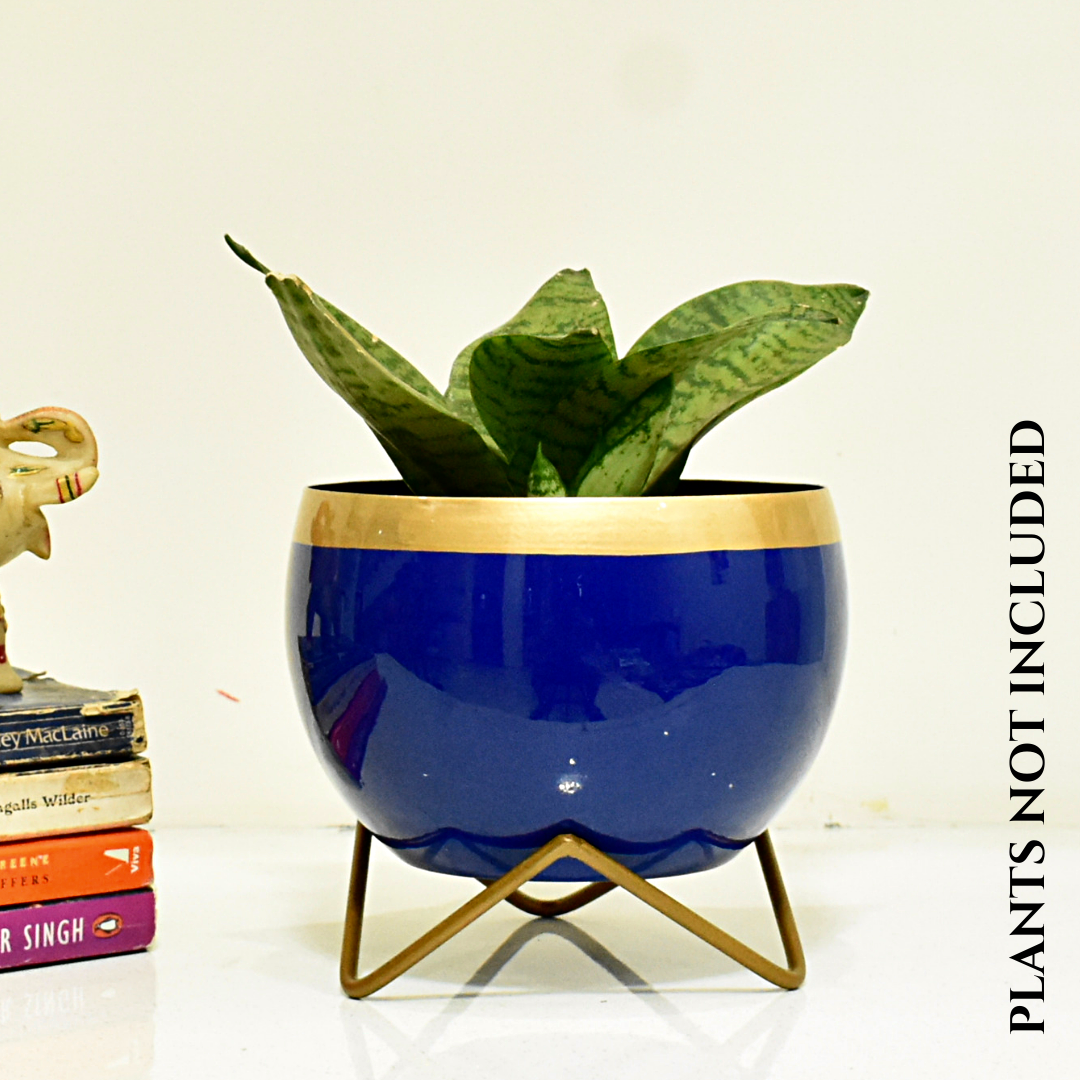 Indigo Gold Indoor Metal Planter With Metal Stand | Home & Garden | 6 Inches