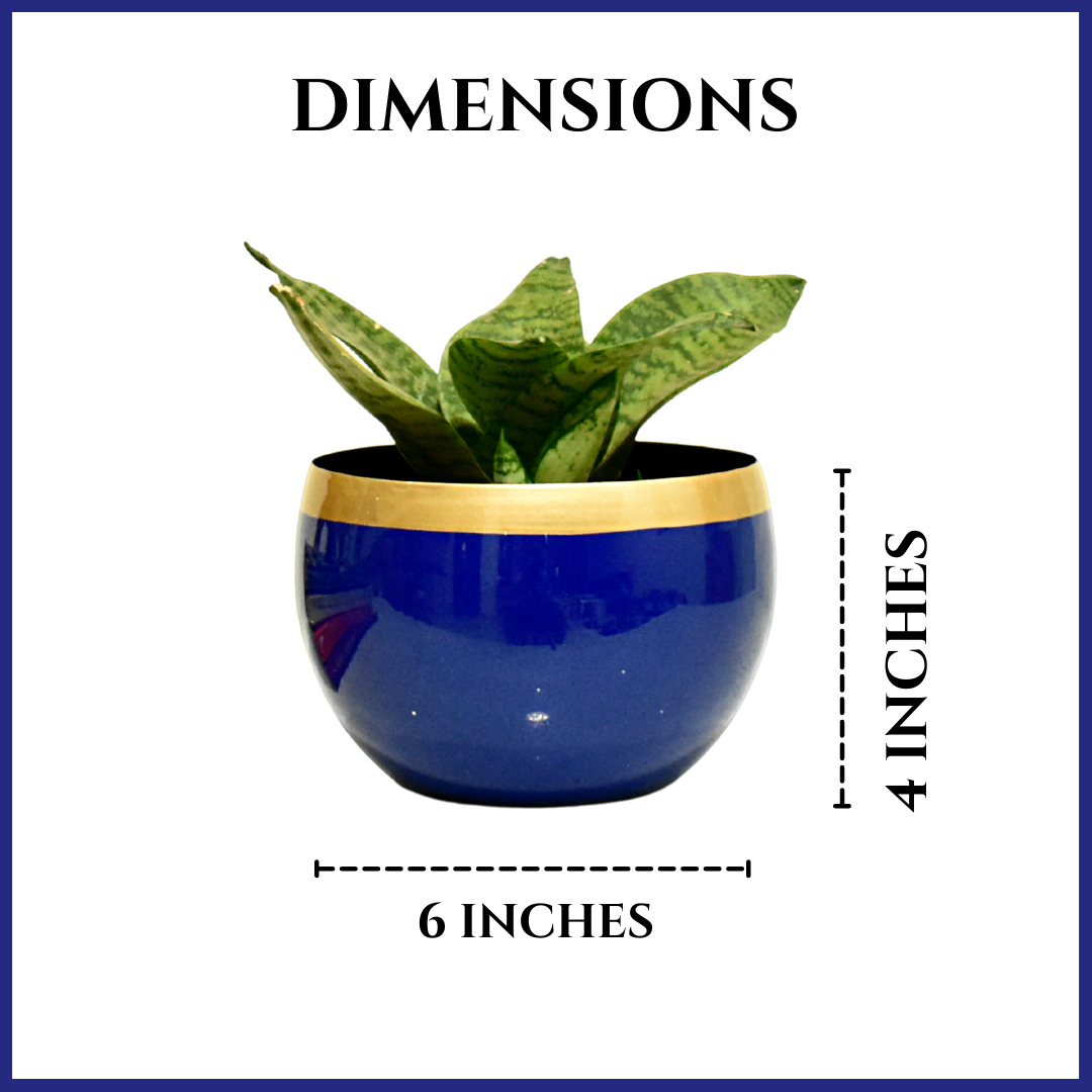 Indigo Gold Indoor Metal Planter With Metal Stand | Home & Garden | 6 Inches