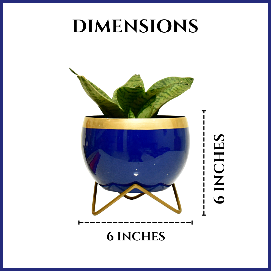 Indigo Gold Indoor Metal Planter With Metal Stand | Home & Garden | 6 Inches