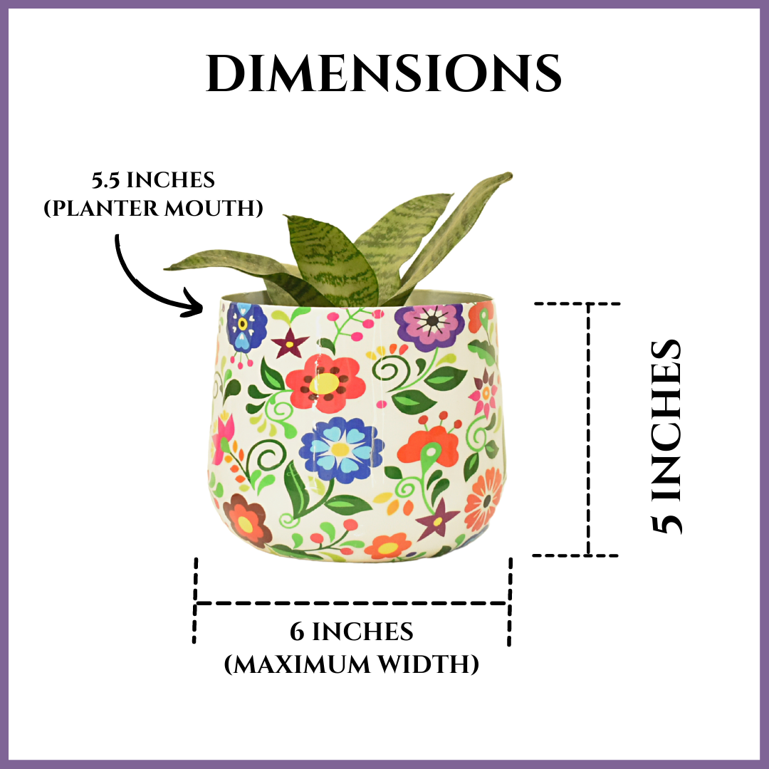 Designer Metal Planter 6 Inches for Home & Garden Indoor | Home BAEsic