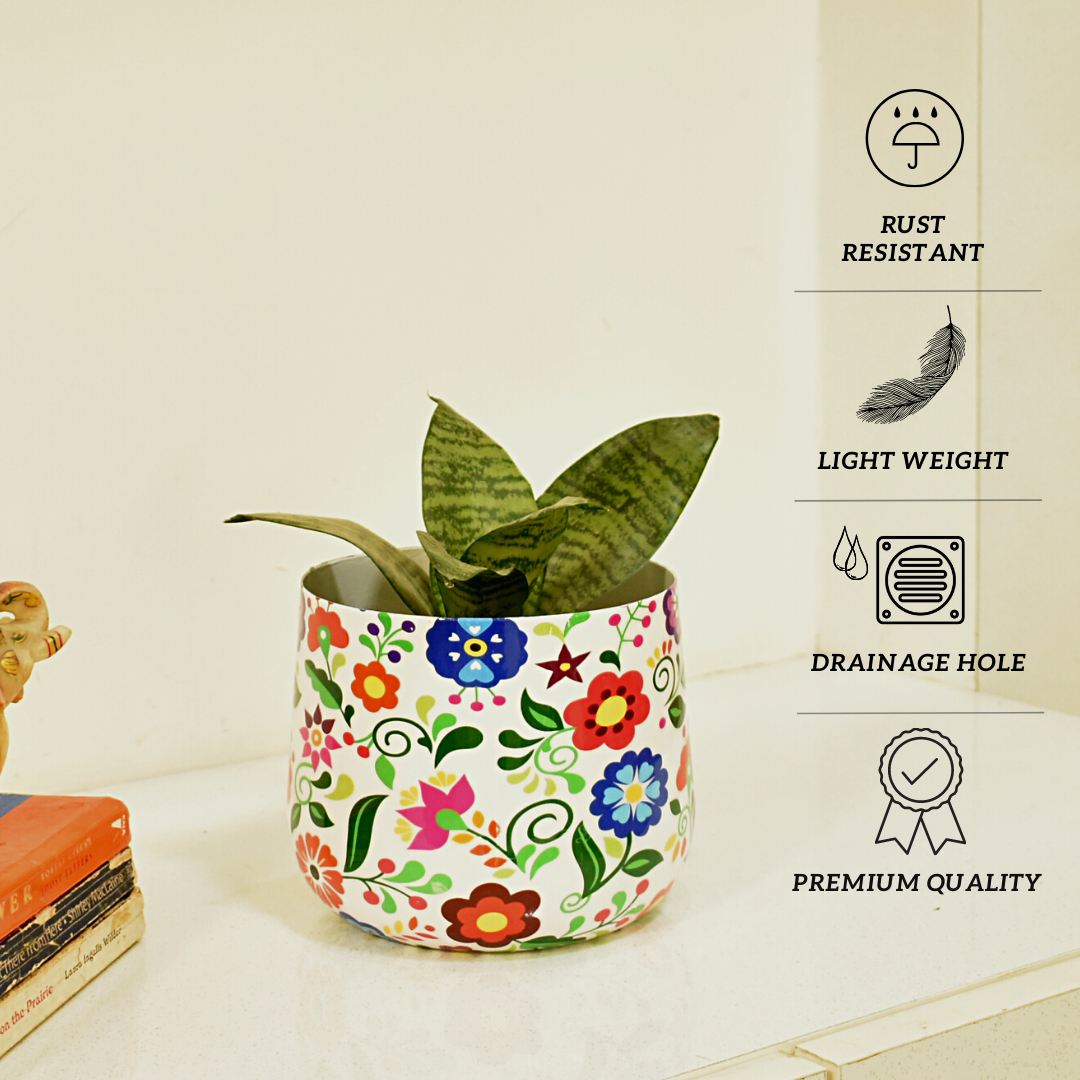 Designer Metal Planter 6 Inches for Home & Garden Indoor | Home BAEsic