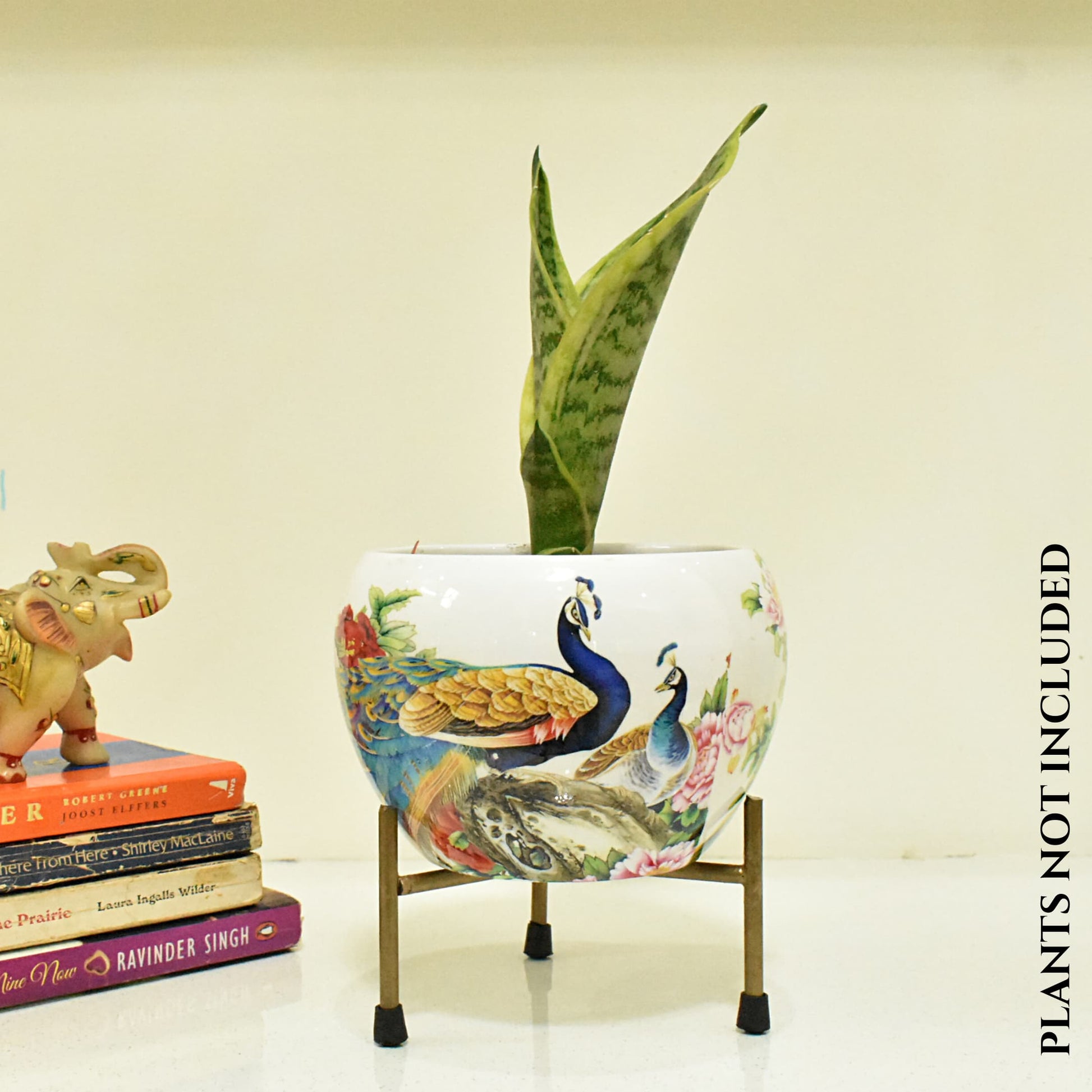 Peacock In Garden Metal Planter Indoor Home & Garden | Home BAEsic