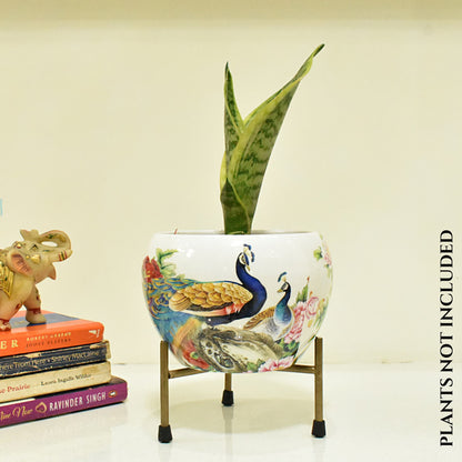 Peacock In Garden Metal Planter Indoor Home & Garden | Home BAEsic