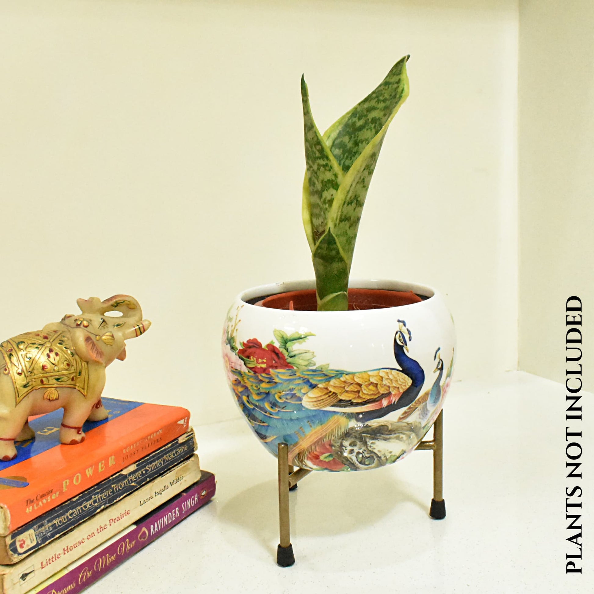 Peacock In Garden Metal Planter Indoor Home & Garden | Home BAEsic