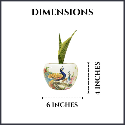 Peacock In Garden Metal Planter Indoor Home & Garden | Home BAEsic