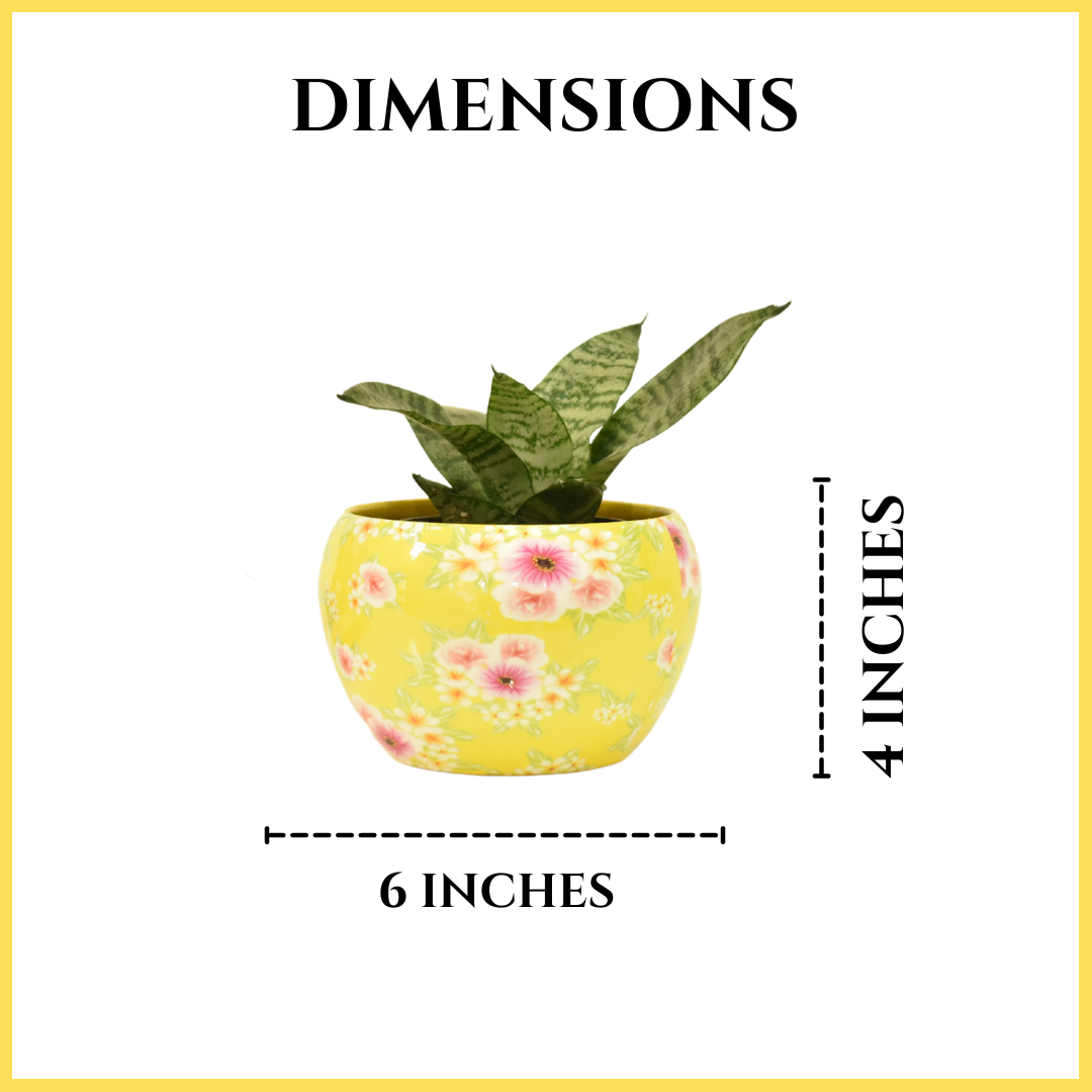 Yellow Bloom Floral Indoor Metal Planter With Metal Stand | Home & Garden | 6 Inches | Home BAEsic
